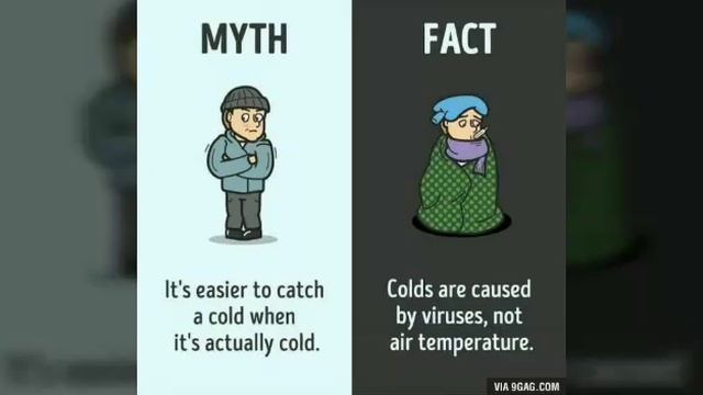 Top 12 Daily Myths And Their Facts