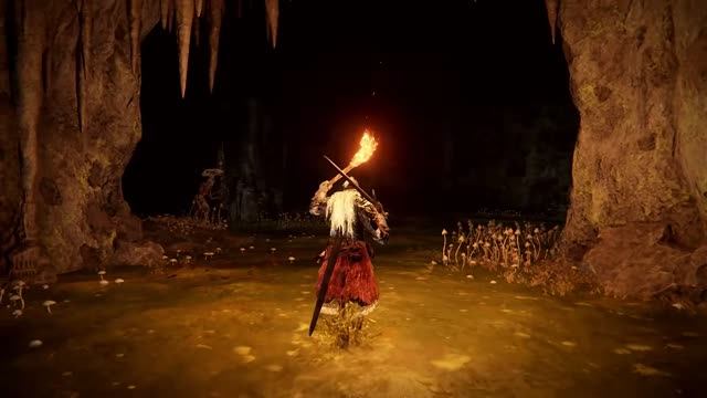 ELDEN RING Tarnished Edition | руководство для начинающего игрока