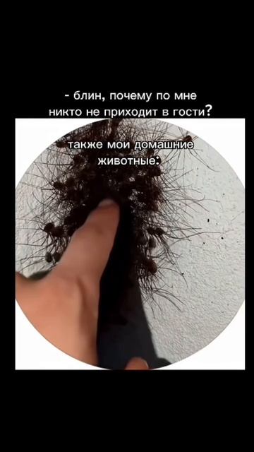 Почему ко мне никто не приходит в гости: