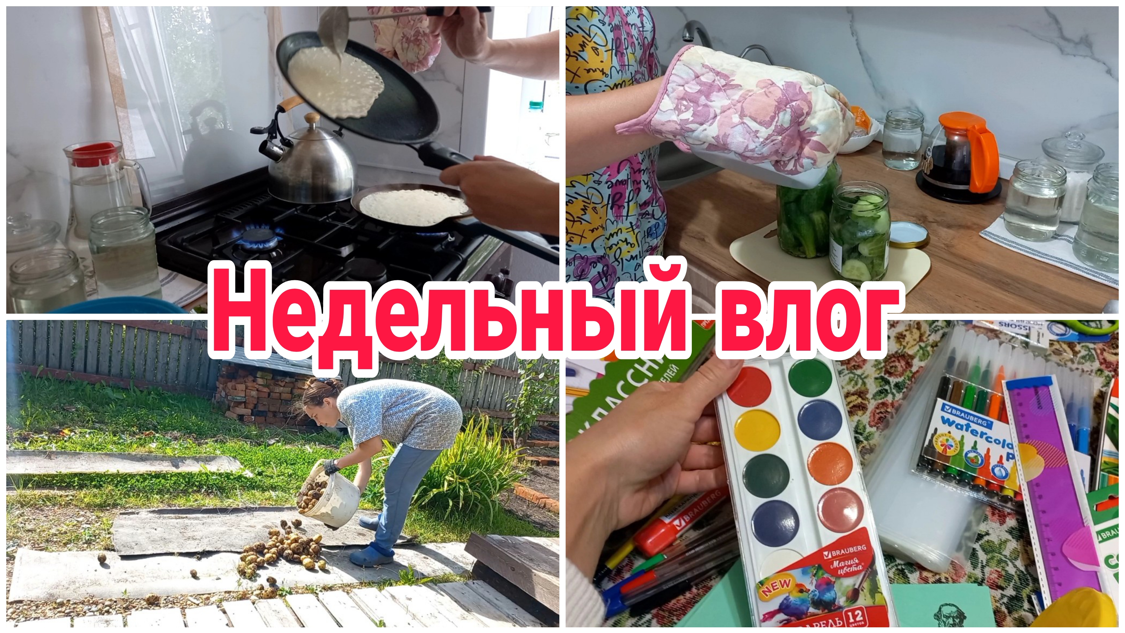 Недельный влог//