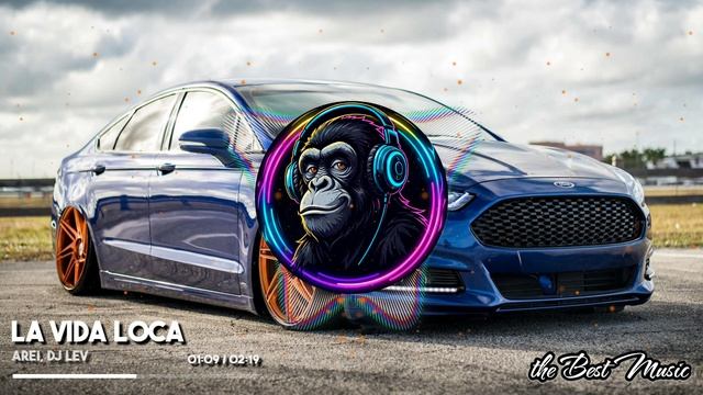 La Vida Loca - Arei, DJ LEV