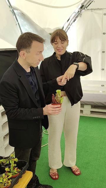 антистресс