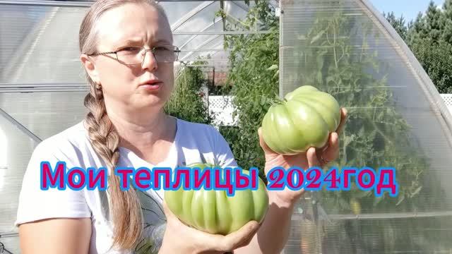 Мои теплицы 2024 год! Кадры из архива!