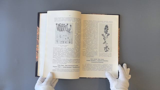 Давыдов Д.Л. Учебник фармакогнозии (Автограф автора на титульном листе, 1911г.)