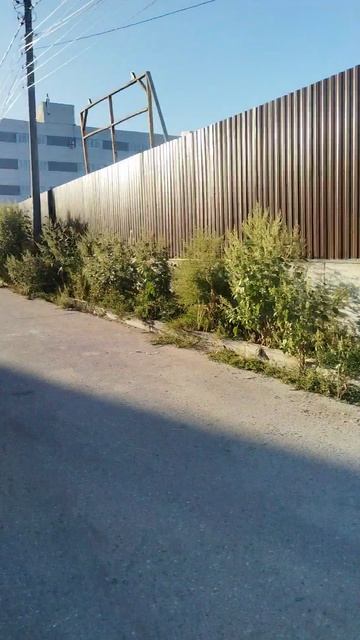 Участок 18 соток.