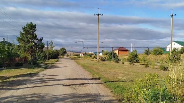 Афина опять гуляла. Варенье. Компот. Арбуз.