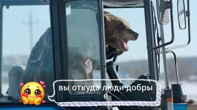 фильмы