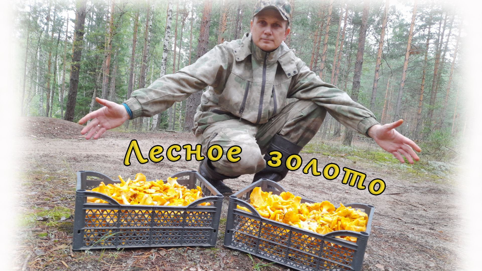 Тихая охота - Лесное золото! (Марий Эл 2026г.)