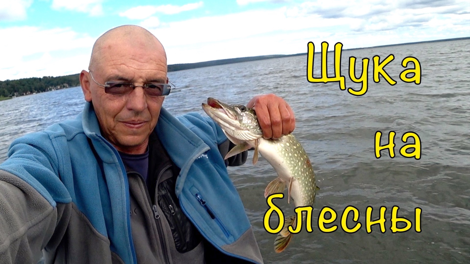 Щука на мелководье. Колебалки в деле.