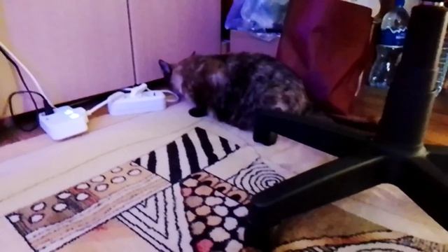 Леся и Сёма - Старательный парень