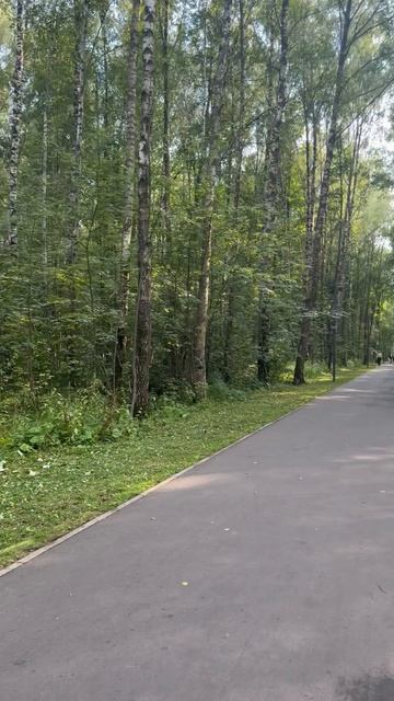 Уютный и тихий парк Авангард в Электростали.