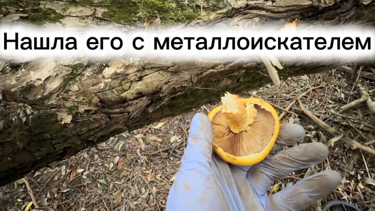 Нашла его с металлоискателем! Никогда не встречала таких