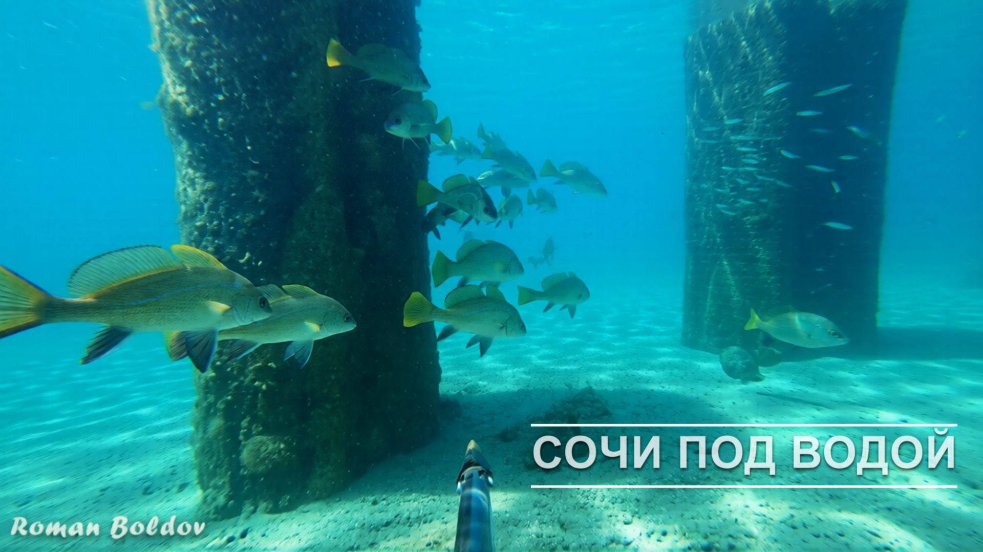 ПОДВОДНАЯ РЫБАЛКА 2026 в ЧЕРНОМ МОРЕ. Сочи, Крабы, Мидии, Устрицы, Кефаль, Горбыль, Мармир.