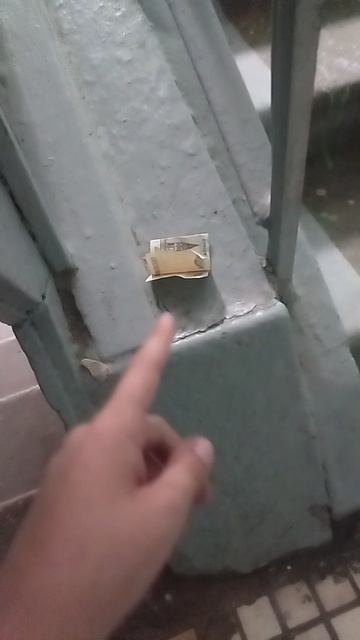 шорцы