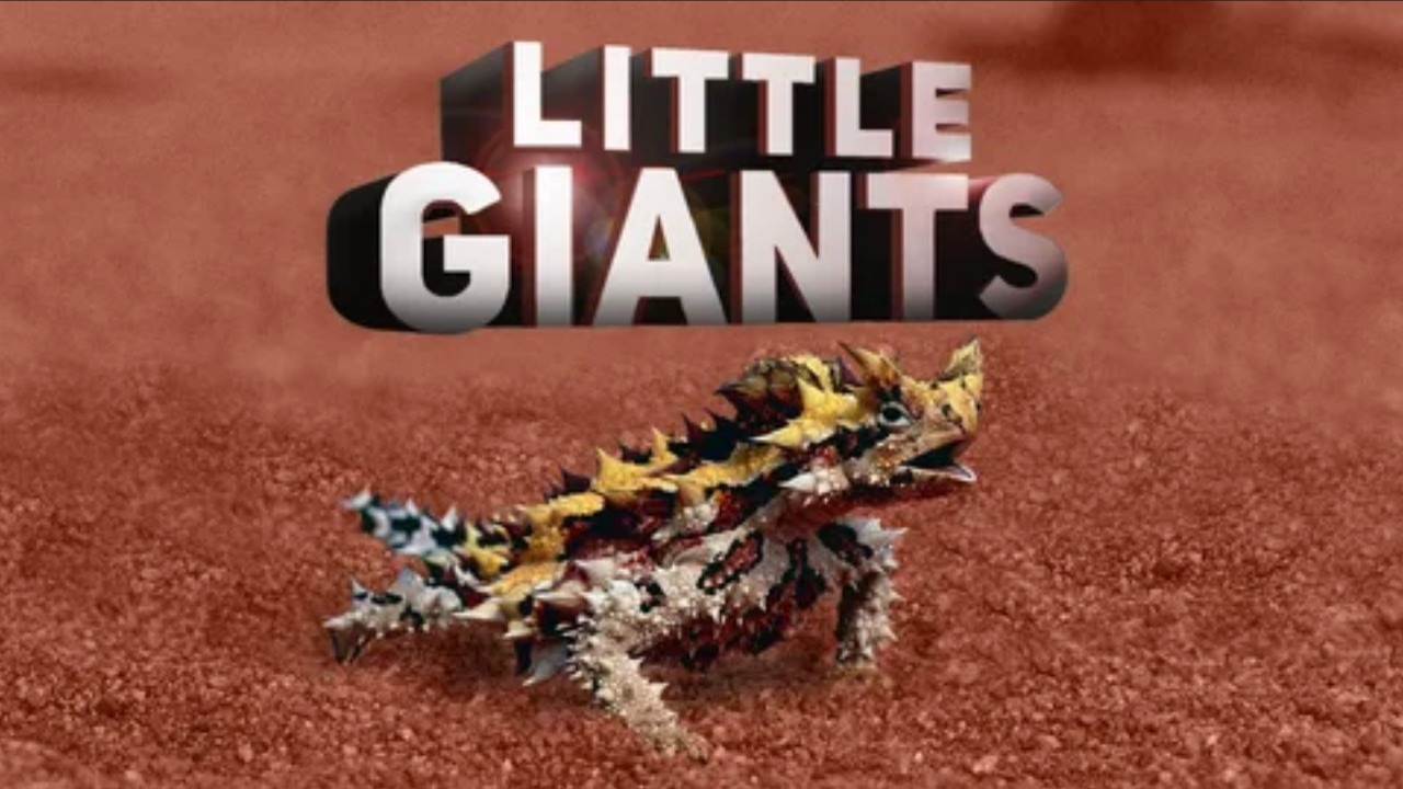 Большие маленькие гиганты (2026) / Big Little Giants