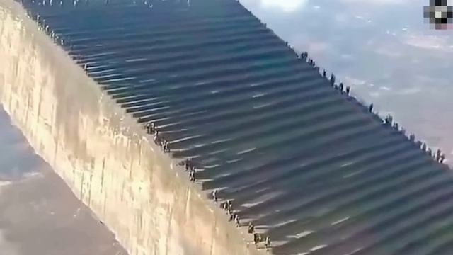 50 Загадочных Тайн Мира, Которые не Может Объяснить Наука