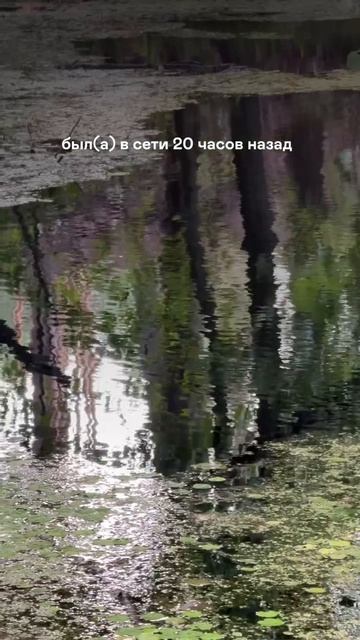 САМЫЕ счастливые сейчас не в сети — они в саду 🌱