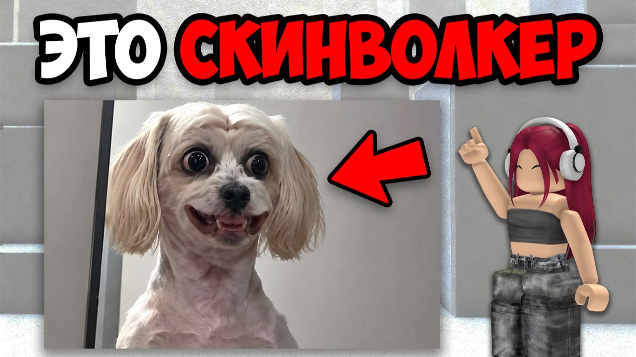 Скинволкеры