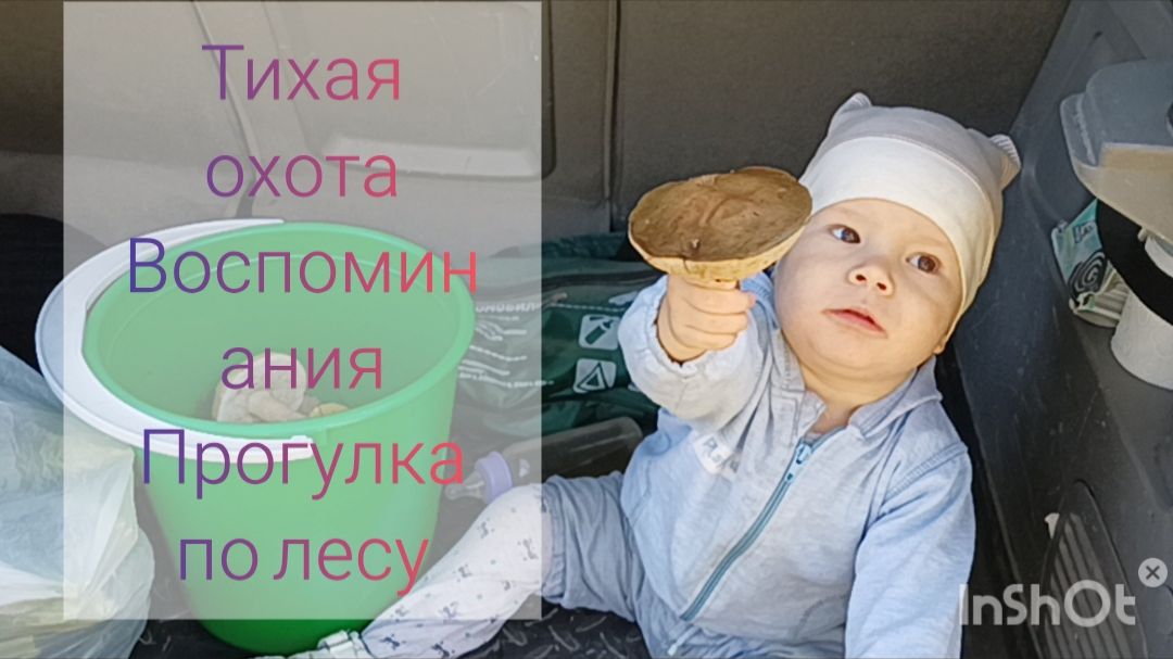 Тихая охота Воспоминания Прогулка по лесу