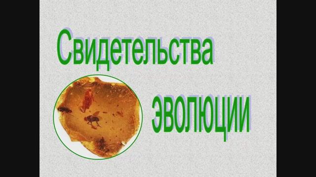 11 кл. Свидетельства эволюции