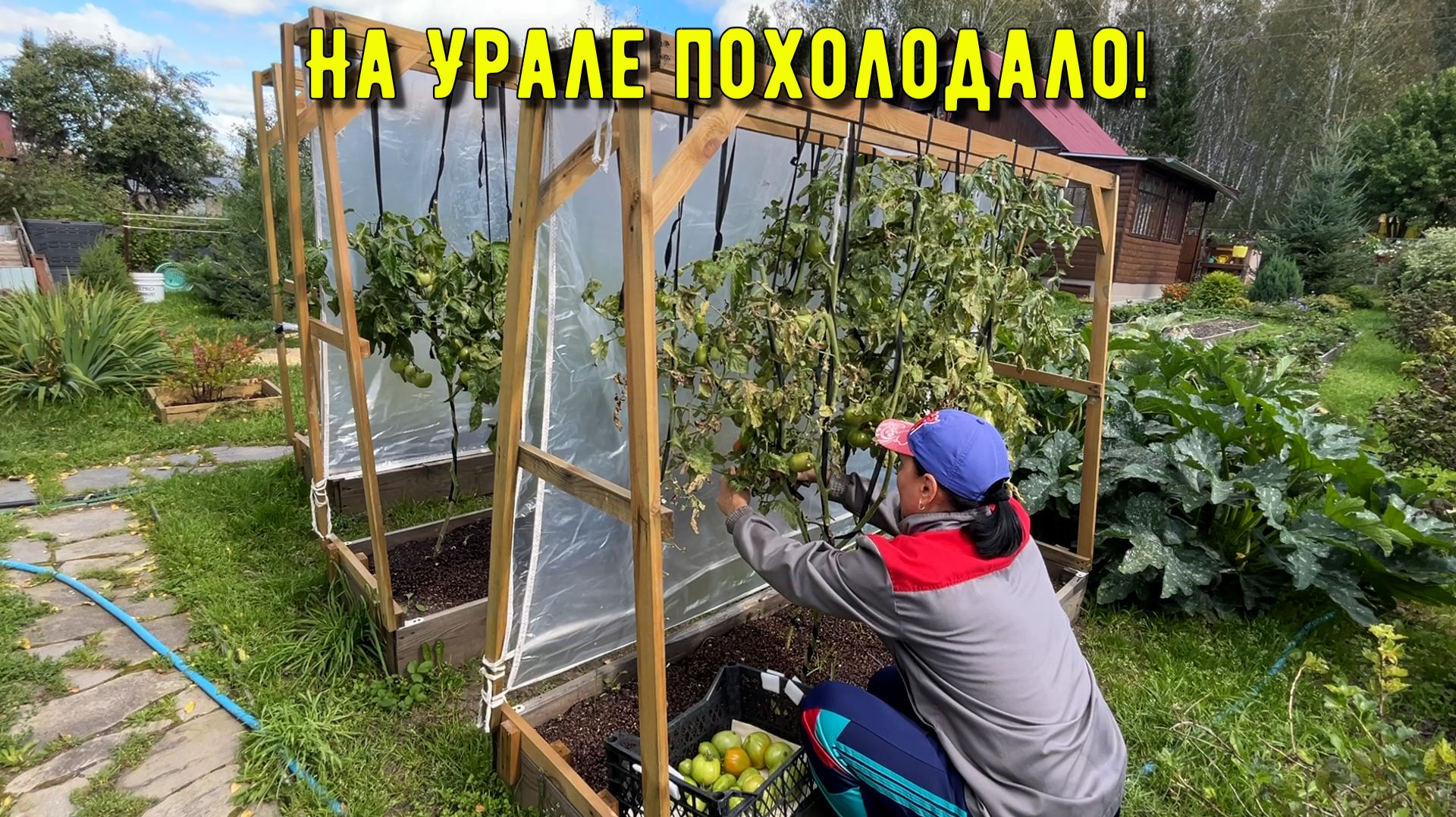 Сняли урожай, закончились дрова! Наступил холод на Урале! Начали делать мебель на даче