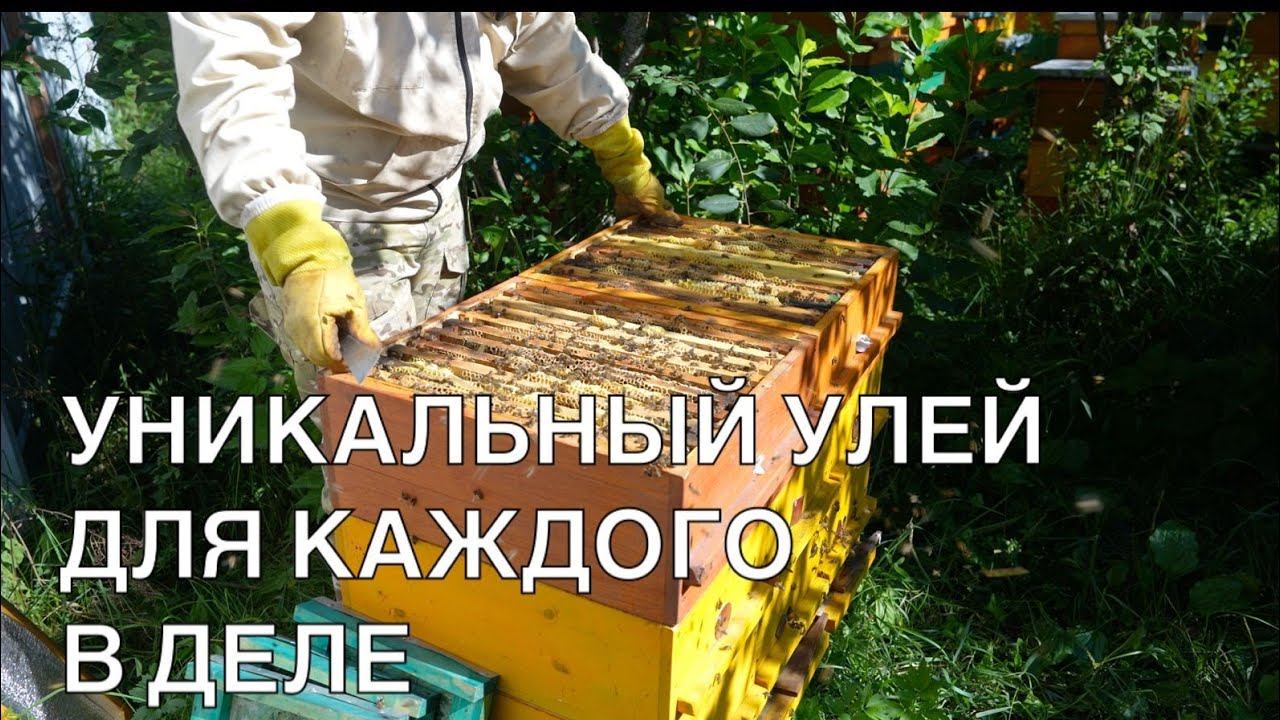 УНИКАЛЬНЫЙ УЛЕЙ ДЛЯ КАЖДОГО В ДЕЛЕ