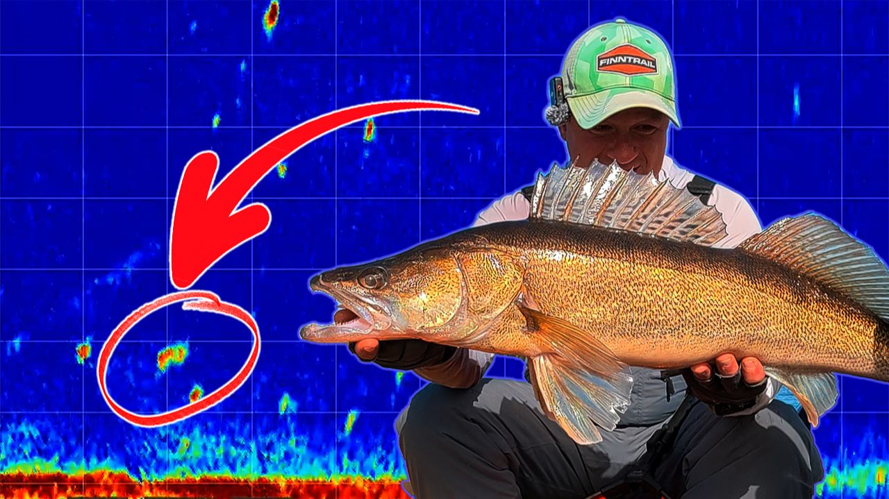 ЛОВЛЯ СУДАКА С Garmin Panoptix LiveScope. СУДАК НАЧАЛ БРАТЬ С ПЕРВЫХ ПОСТАНОВОК!!!