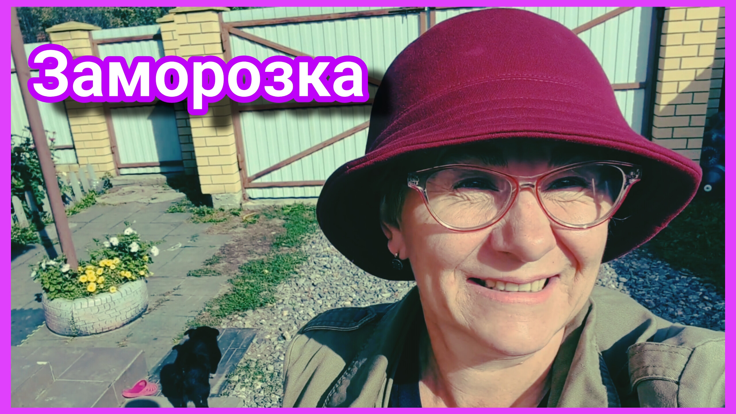 ЗАГОТОВКИ на зиму