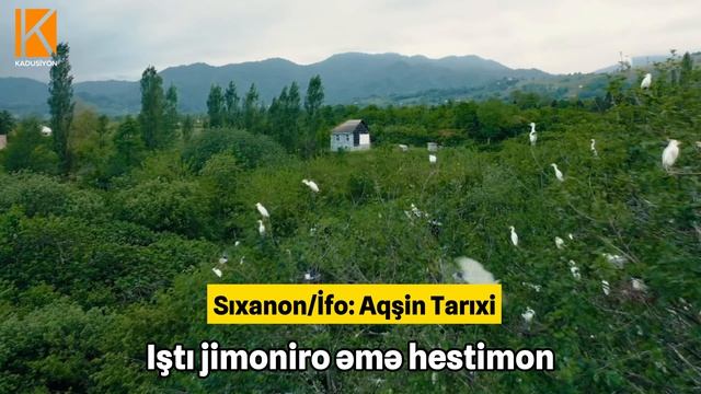 Aqşin Tarıxi - Bıji, Xosə Vətən, Bıji, Ha Tolış!
