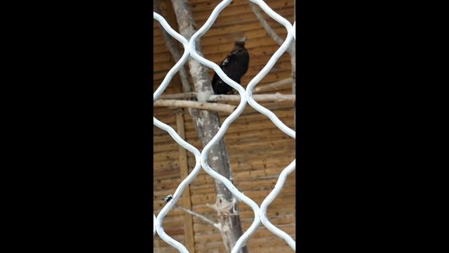 Горизонтальные видео на моëм канале