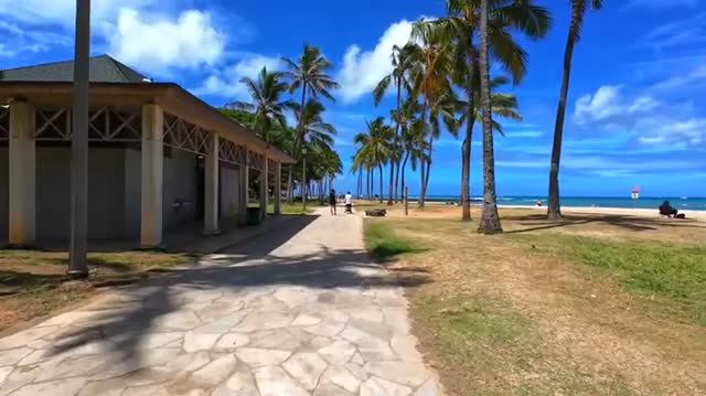 Hawaii Waikiki Walking Tour 🌴 3 Hours Walking The Streets And Beaches-20.08.2026