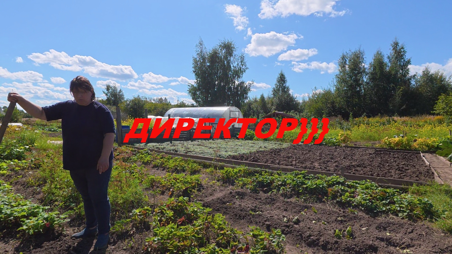 Дела на огороде! Начальник сказал «Надо!» — вперед, в огород! (Уборка, обрезка кустов, пересадка клу