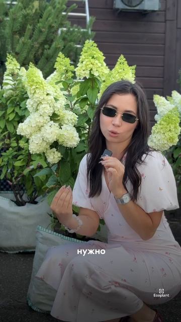 КАК получить ОГРОМНЫЕ шапки гортензии? 🌸🤫