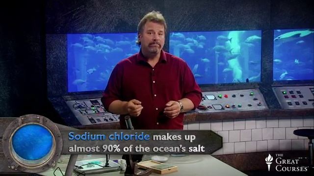 01 - Water: The Source Of Life - Life In The World's Oceans