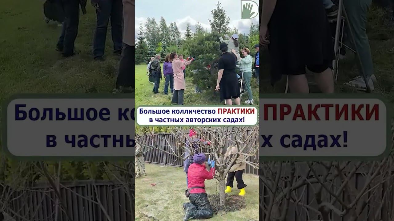 Как выбрать ландшафтные курсы?