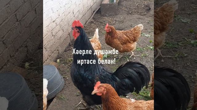 С добрым утром!