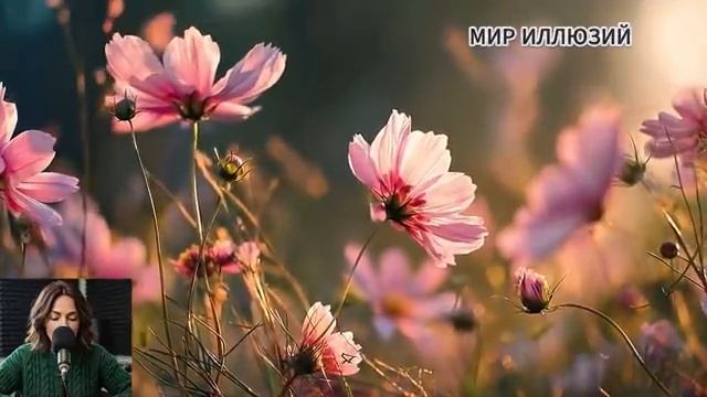 Запертая в низу