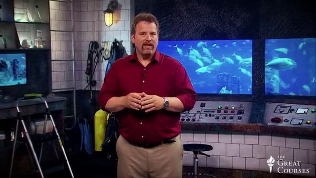 05 - Life In Polar And Deepwater Environments - Life In The World's Oceans