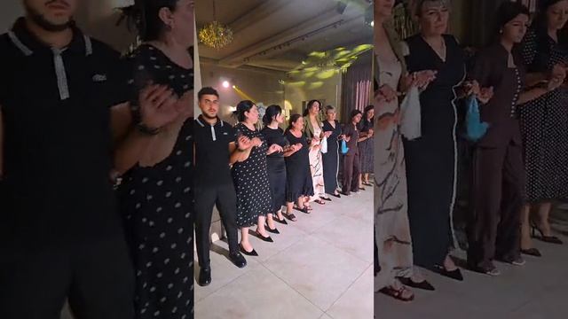 Temur Javoyan — EZIDI WEDDING RUSSIA 2026
