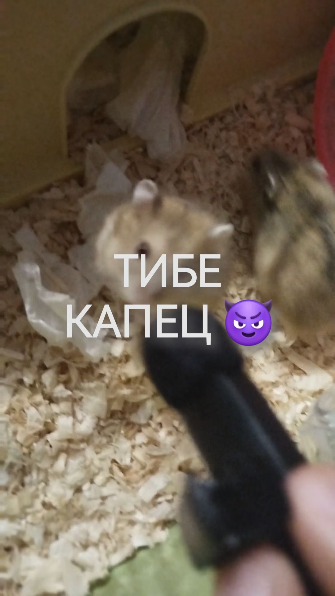 Юмор