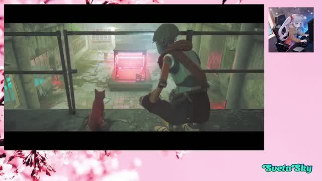 Stray