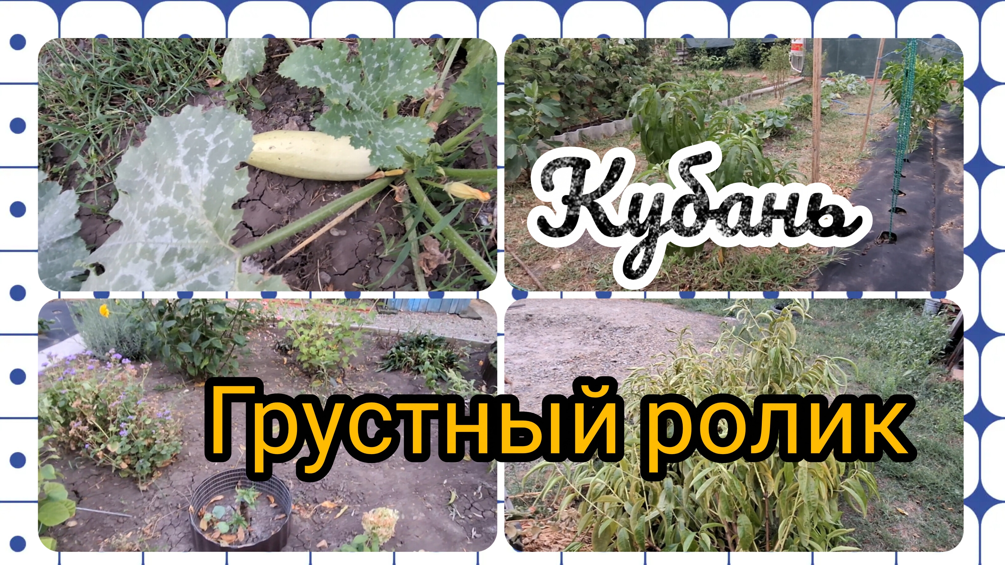 31-08-2026/ Его больше нет😒/ Чистим малину/ Убрали помидоры/ Переезд на юг/ Краснодарский край/