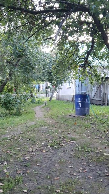 Деревня.Орловская обл. Покровский р-он. с.Берёзовка.