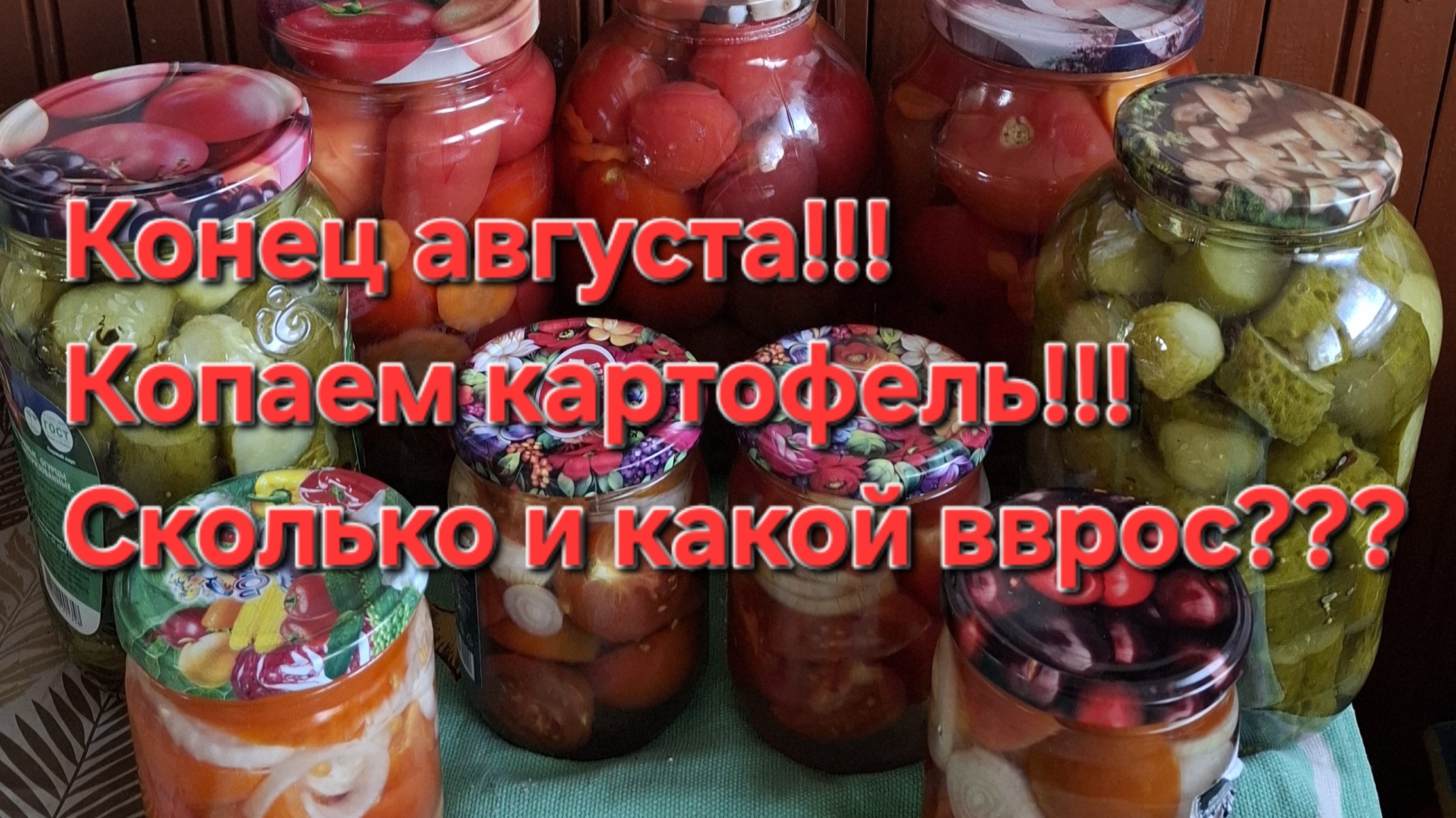 Конец августа!!! Копаем картофель!!! Что выросло!!!???