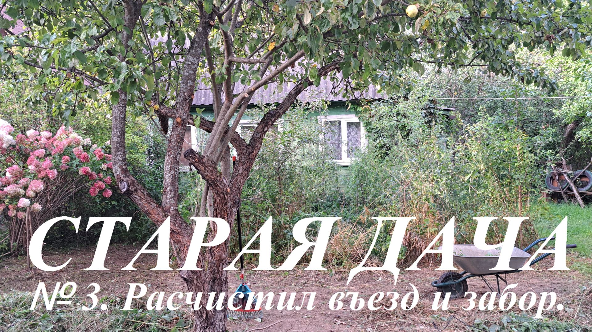 Старая дача. № 3. Расчистил въезд и забор со строны улицы.