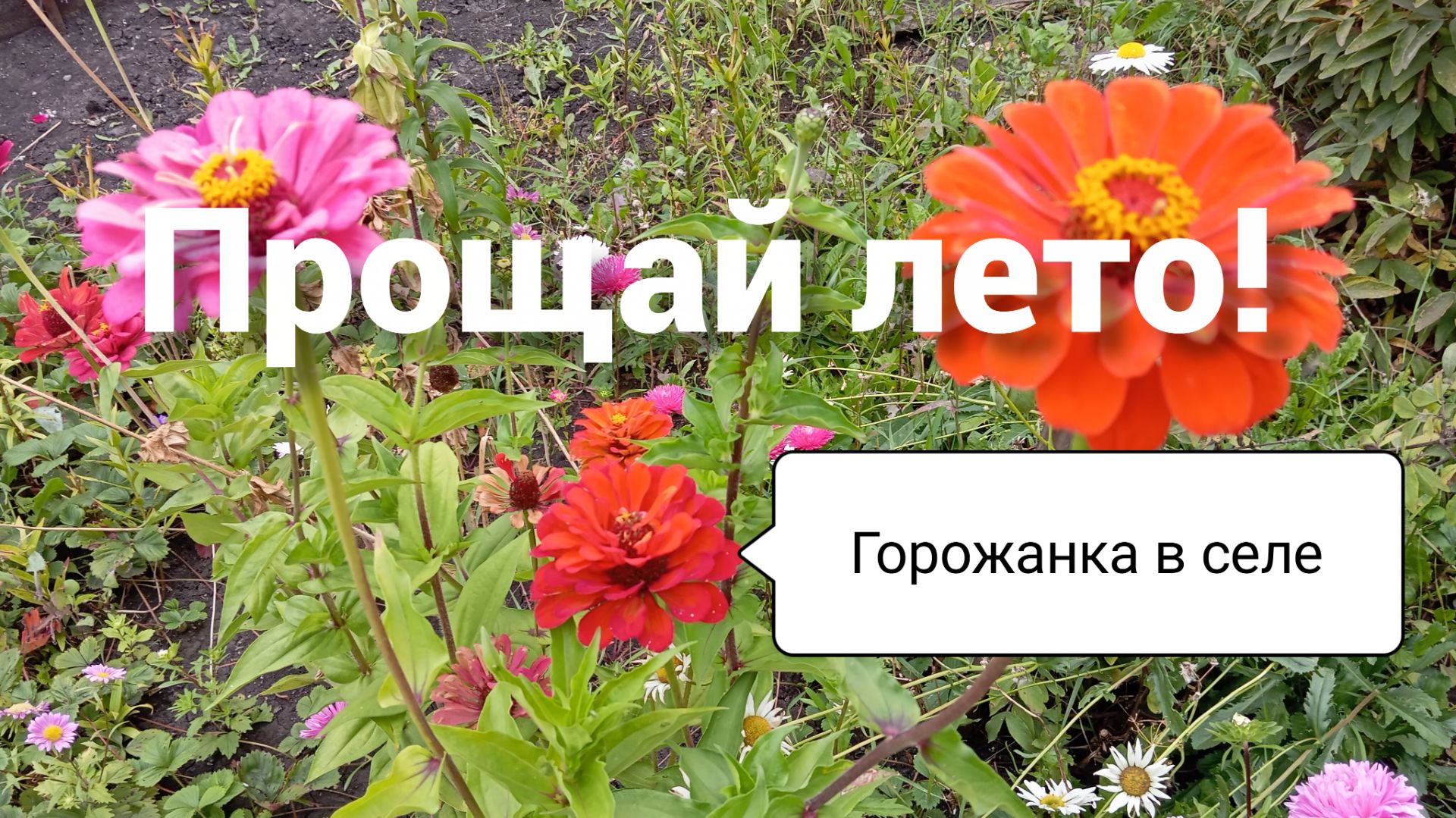 Прощай лето!