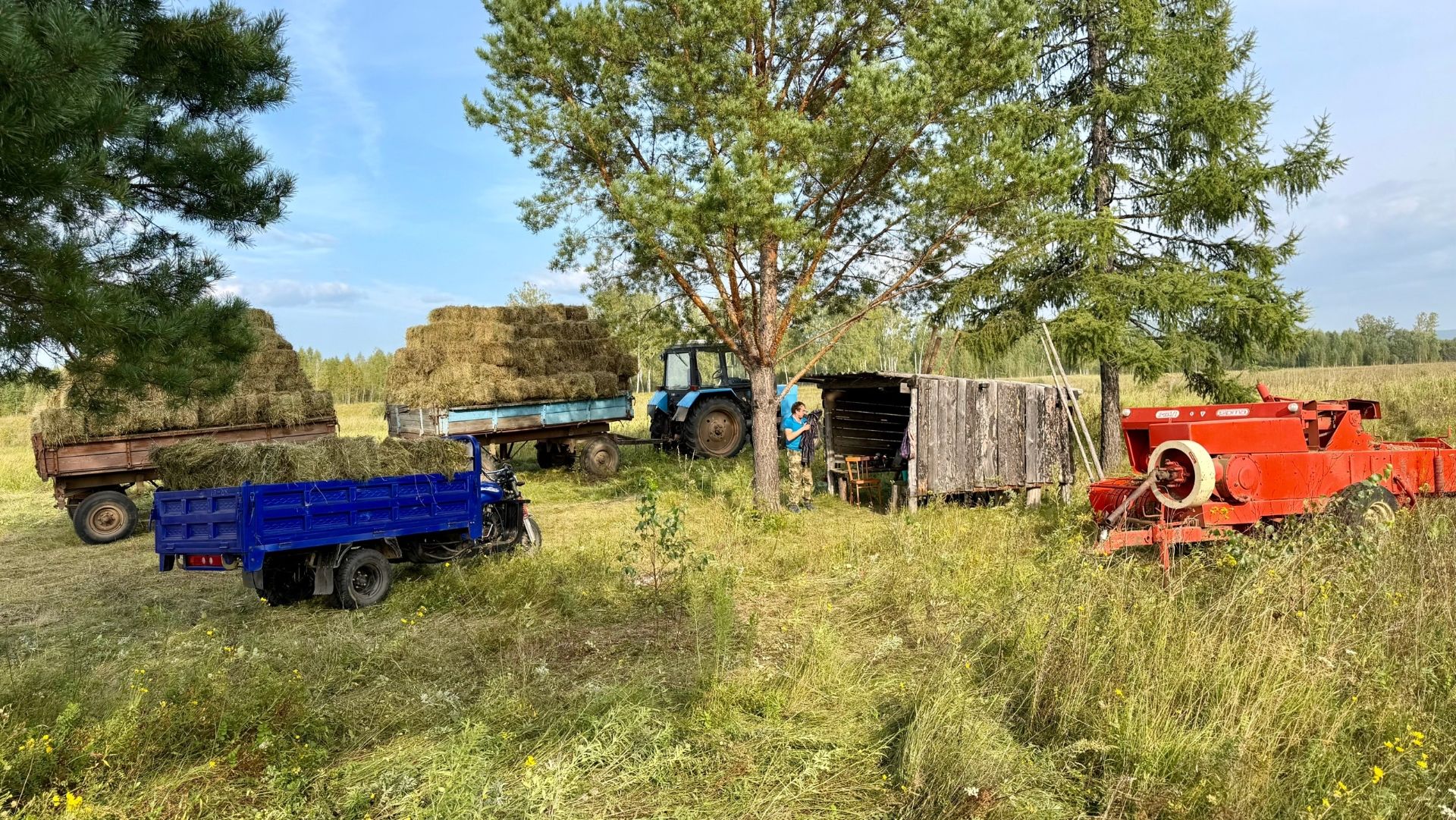 ДЕРЕВЕНСКИЕ ЗАБОТЫ В  КОНЦЕ ЛЕТА.КОПАЕМ КАРТОШКУ И ПРЕССУЕМ СЕНО. ОТКРЫЛИ СЕЗОН ОХОТЫ ПО УТКЕ.
