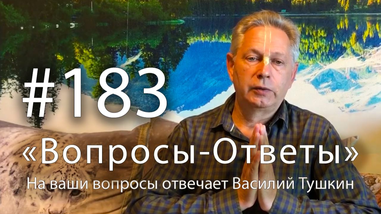 Рубрика «Вопросы-Ответы»