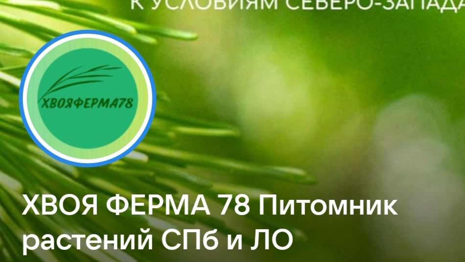 30.08.26 Заехала в Дубровку за растениями.