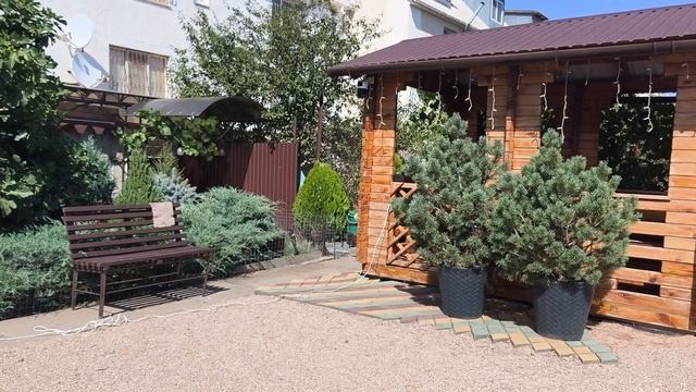 Поехали отдыхать на море с друзьями/Отдых в Крыму 29.08.26